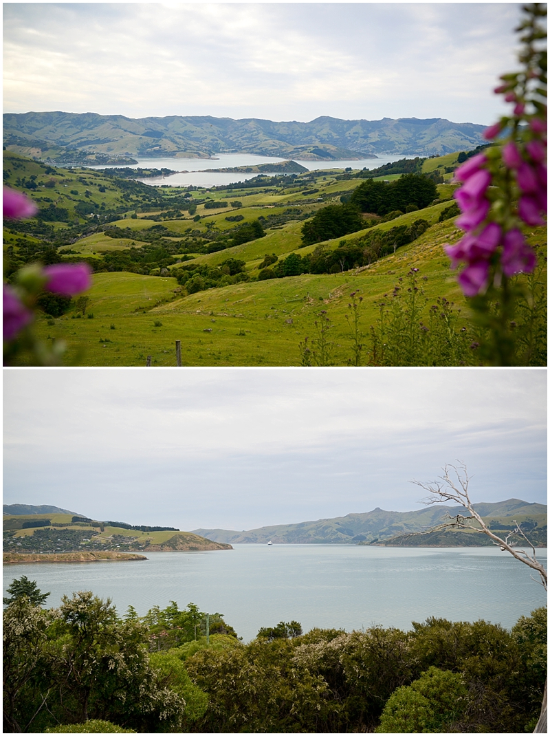 photographer family portrait professional Christchurch handmade photography Stephanie Defregger Akaroa_3315
