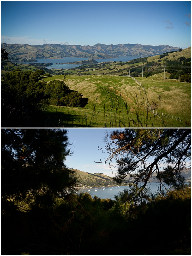 photographer wedding portrait professional Christchurch handmade photography Stephanie Defregger Akaroa Mount Vernon Lodge_3724